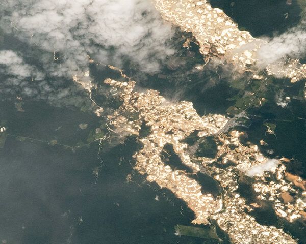 亚马逊雨林卫星图像上的金线