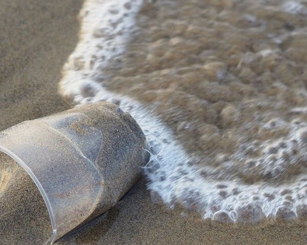 一个塑料杯被冲到海滩上。