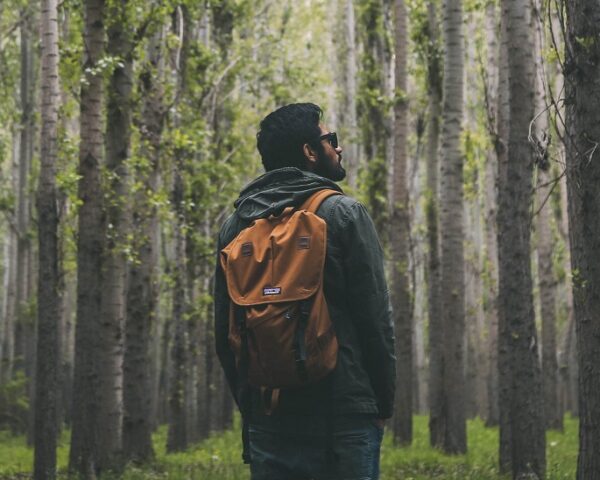 一个背着黄色背包的男人站在森林里