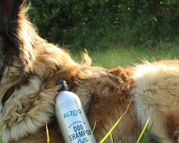 一只狗趴在草地上，身上靠着一瓶洗发水