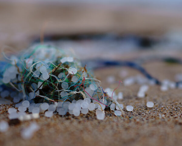 海滩上的微塑料
